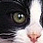 Profile Picture of Julianne Claudette Lopez Sandoval (@consentida_1978) on Flickr