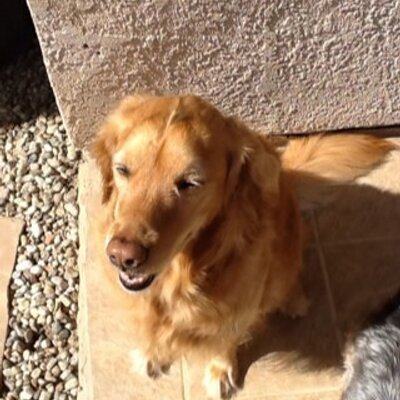 Profile Picture of Joe Kellner (@joelell) on Twitter