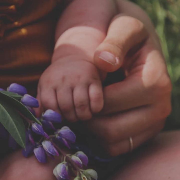 Profile Picture of Lacey (@lacey.halpin) on Tiktok