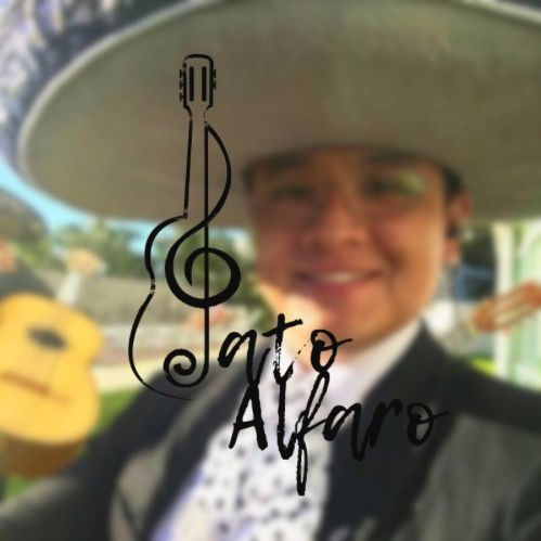 Profile Picture of Pato Alfaro (@pat0alfar0) on Tiktok