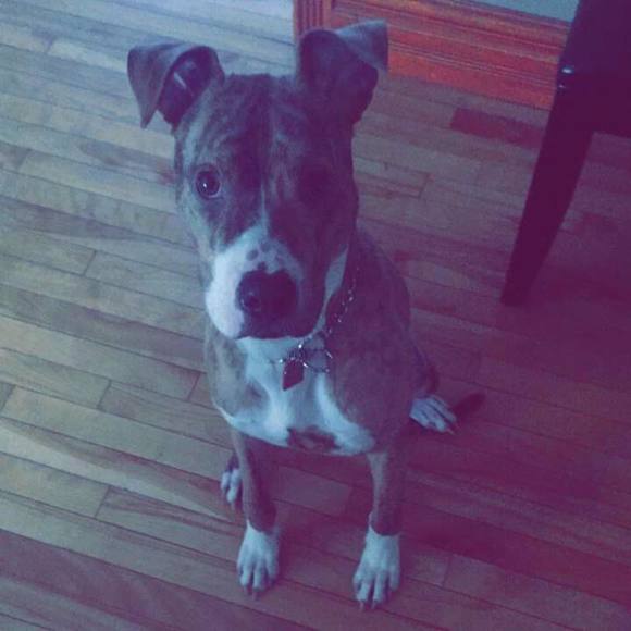 Profile Picture of Colton Bornhorst (@coltonbornhorst) on Poshmark