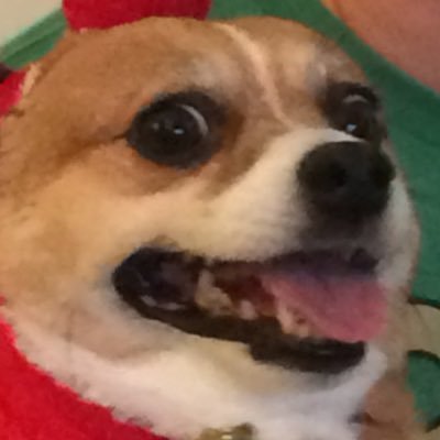 Nicholas Holthaus - Twitter Profile Picture of Nicholas Holthaus (@DestinyMaster17) on Twitter