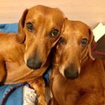 Profile Picture of Marco Matteucci (@marco.matteucci.7927) on Instagram