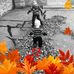 Profile Picture of Cindy Ritchhart Hoyer (@cindy.hoyer.5) on Facebook