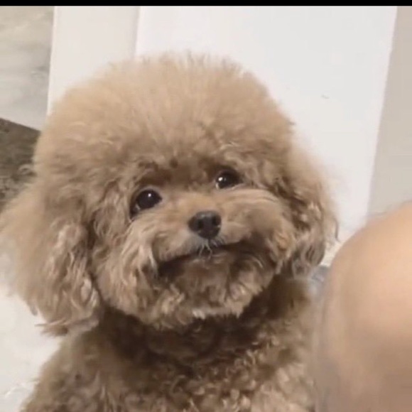 Profile Picture of David Evans (@davidevans4k) on Poshmark