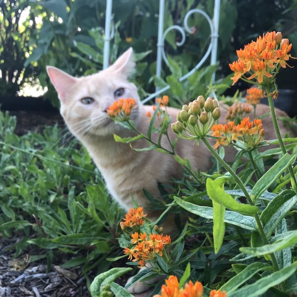 Profile Picture of Daniel Antonson (@daniel_a_) on Poshmark