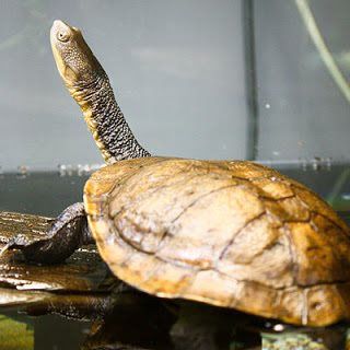 Profile Picture of Lance Leonard Halliwell (@marklorenz.canape) on Facebook