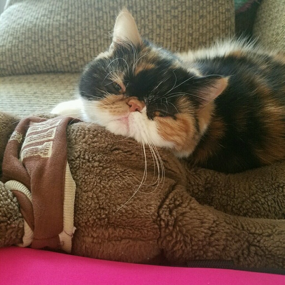 Profile Picture of Kerri Clayton (@kitlz84) on Poshmark