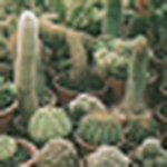 Profile Picture of Fl_i (@fl_i) on Flickr