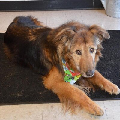 Profile Picture of Doug Root (@QTRoot) on Twitter