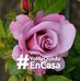 Profile Picture of Hortensia Calvo Hernandez (@hortensia.calvohernandez.14) on Facebook