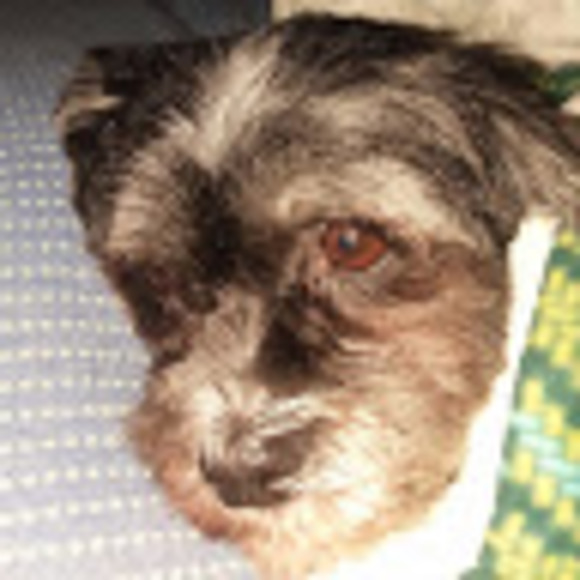 Profile Picture of Stacie Patton (@stacie_patton) on Poshmark