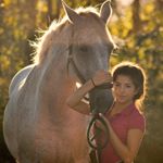 Amalya's Equine Photography - Instagram Profile Picture of Amalya's Equine Photography (@silverblatt.equine) on Instagram