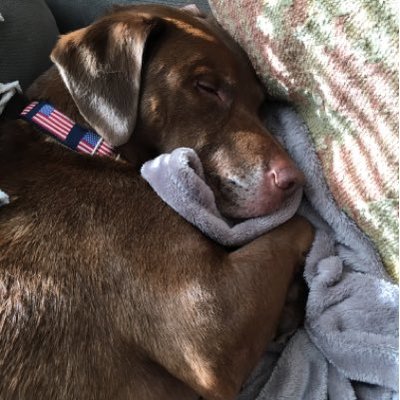 Profile Picture of Jeffrey Thibodeau (@thibs_pats12) on Twitter