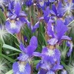 Profile Picture of Jeehee Kim (@1006jhk) on Instagram