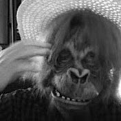 Profile Picture of Edward Dimmer (@edwarddimmer7833) on Youtube