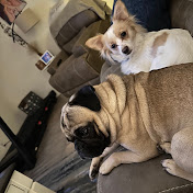 Profile Picture of Vanessa Moody (@vanessamoody6649) on Youtube