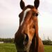 Profile Picture of Matthew Stough (@matthewstough0315) on Pinterest