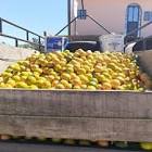 Profile Picture of   TikTok de Violeta Ortiz... (@violetaortiz18) on Tiktok