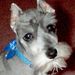 Profile Picture of Dee Brian (@twobayou) on Pinterest