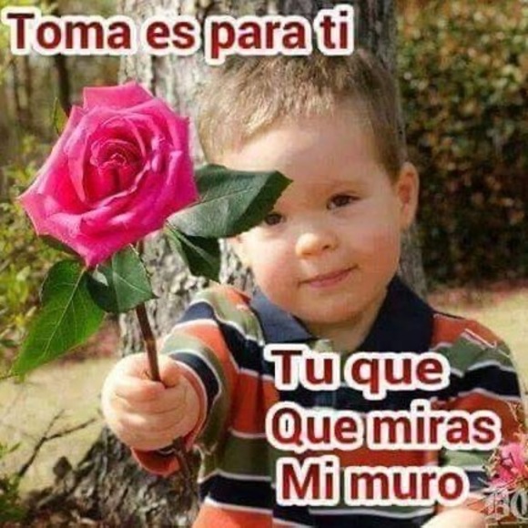 Profile Picture of Mariela Vanzini (@tardio751) on Poshmark