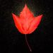 Profile Picture of Joshua Follman (@jcfollman) on Pinterest
