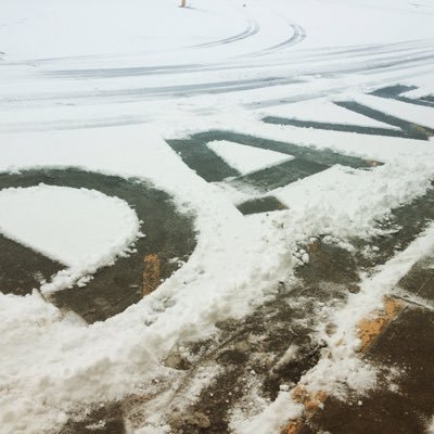 Profile Picture of David Hutton (@trippinbillie22) on Twitter