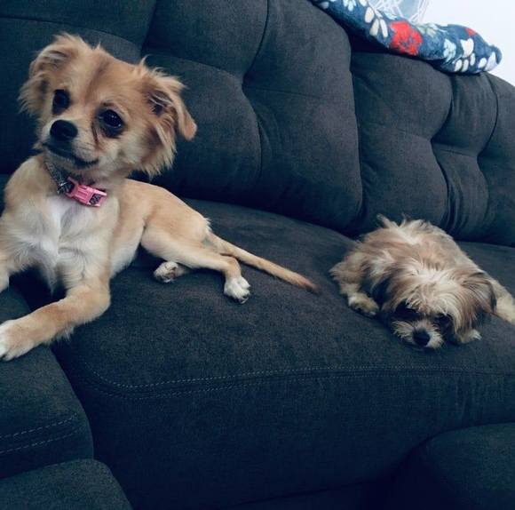 Profile Picture of Jolisa Doakes (@erilyse1) on Poshmark