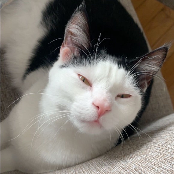 Profile Picture of Liana Cubells (@lianacubells) on Poshmark