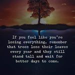 Profile Picture of Steven Orchard (@redditman1234) on Instagram