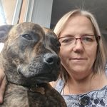 Michelle Ludlow - Instagram Profile Picture of Michelle Ludlow (@ludlow553) on Instagram