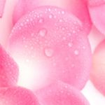 Profile Picture of Jade (@jade.benjamin.hairstylist) on Instagram