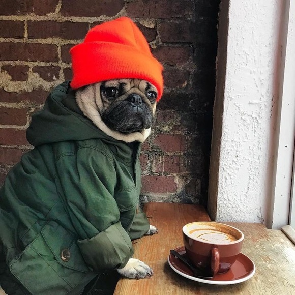 Profile Picture of Nick Kolenda (@yourvintagepug) on Poshmark