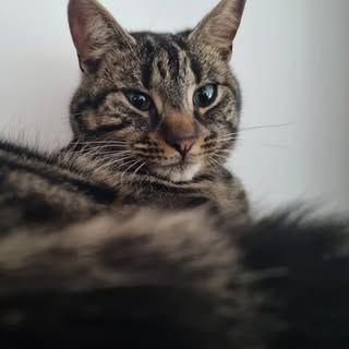 Profile Picture of lucas Rowlett (@lucasrowlett) on Instagram