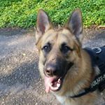 Profile Picture of R.I.P ceaser (@jameswashington1671) on Instagram