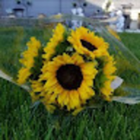 Profile Picture of Jenny Arnerich (@jennyarnerich) on Poshmark