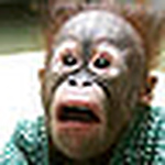 Profile Picture of Daniel (@*just some old guy.) on Flickr