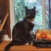 Profile Picture of Hannah Nicholas (@hnich220) on Pinterest