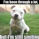 Profile Picture of tony (@tonykirkpatrick1888) on Instagram