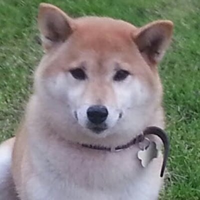 Profile Picture of Andrew Corkhill (@corkyandy) on Twitter