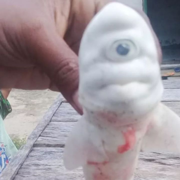 Profile Picture of Derick dingle (@billysam89) on Tiktok