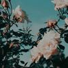 Profile Picture of Jess Dart (@@jess_paige1999) on Tiktok