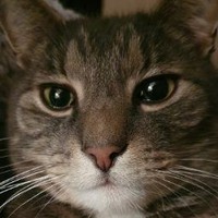 Profile Picture of Nathan Pennock (@nathan-pennock-4) on Quora