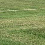 Profile Picture of Michael Koubek (@michi_koubek_95) on Instagram