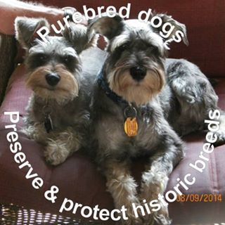 Profile Picture of Brenda Myers Kestner (@brenda.myerskestner) on Facebook