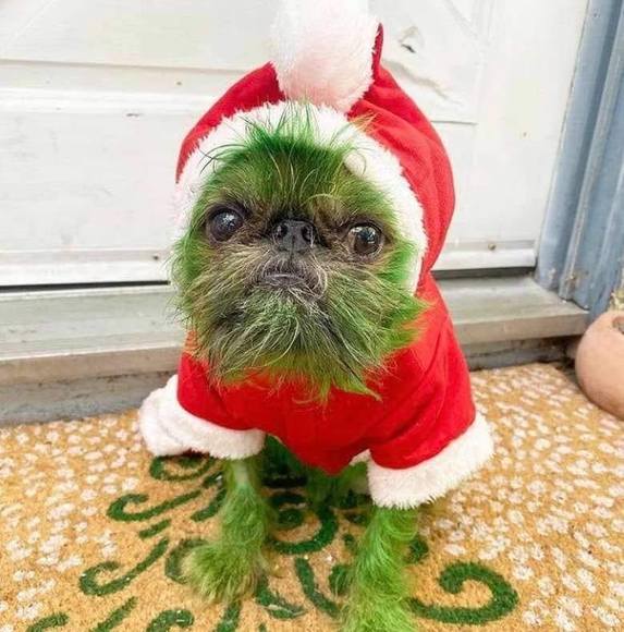 Profile Picture of Scot Albright (@scot_albright) on Poshmark