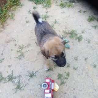 Profile Picture of Alice Libigrova (@alice.libigrova) on Facebook