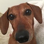 Profile Picture of Fabienne MacMartin (@macmartinfabienne) on Instagram