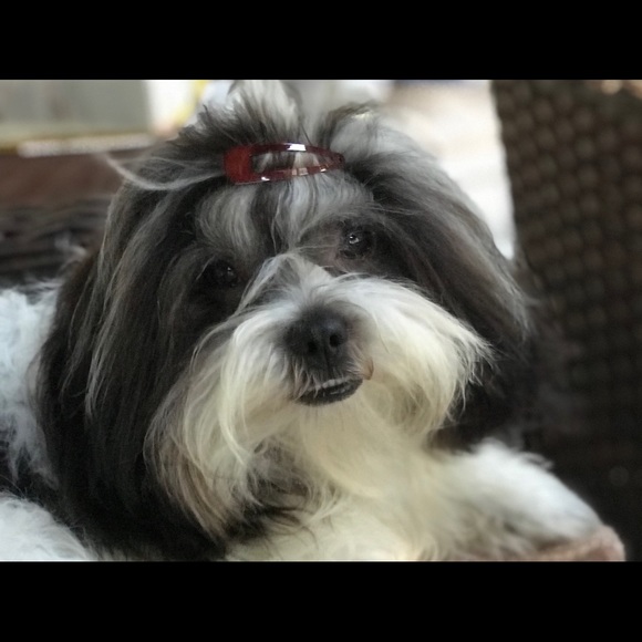 Profile Picture of Chris Mcclellan (@chrisindcuk) on Poshmark