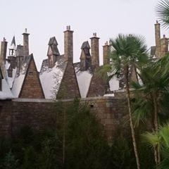 Profile Picture of Clayton Sellers (@user1962488) on Tiktok